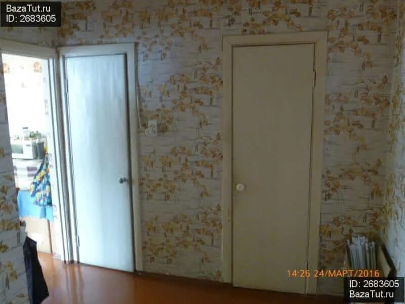 11. Продать квартиру на авито бесплатно без посредников в монино. Подмосковье монино квартира. Монино алксниса 32. Монино алксниса 46.