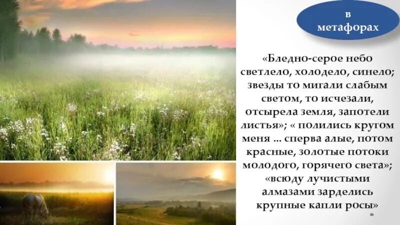 Капельки росы на солнце. Утренняя роса на лугу. Всюду лучистыми алмазами. Медвяная роса цвет. Конденсация роса.