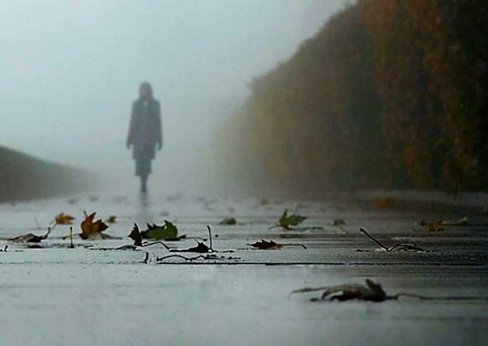 Не могло ни создать