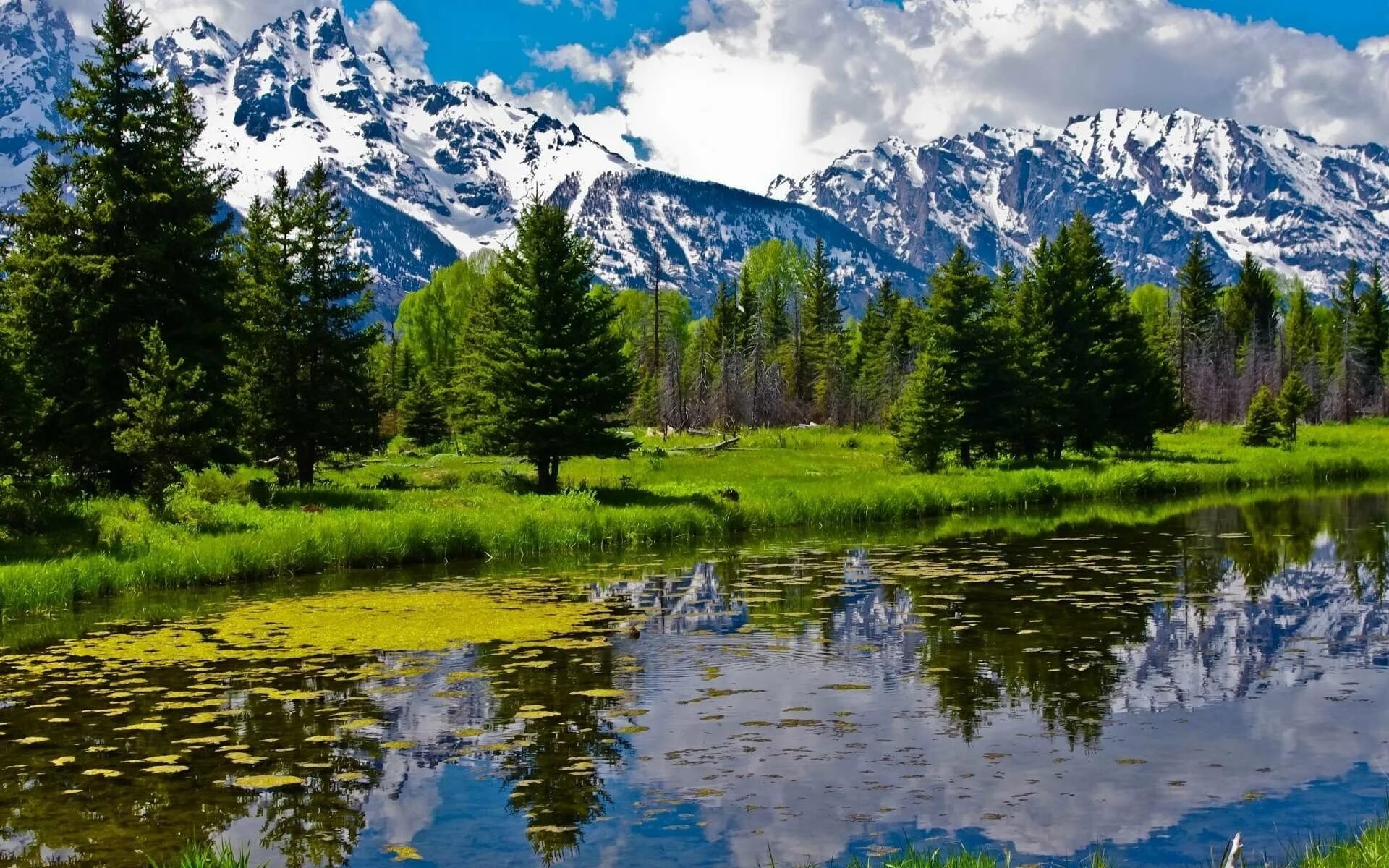 Д ф природа. Природа горы река. природа горы лес река. красивая природа россии. пейзаж горы река.