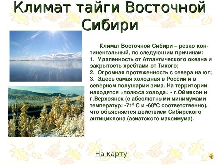 Тайга Восточной Сибири климат. Тайга Западной Сибири климат. Климатические условия тайги тайги. Климатические условия Восточной сибирской тайги. Главные особенности природы восточной сибири