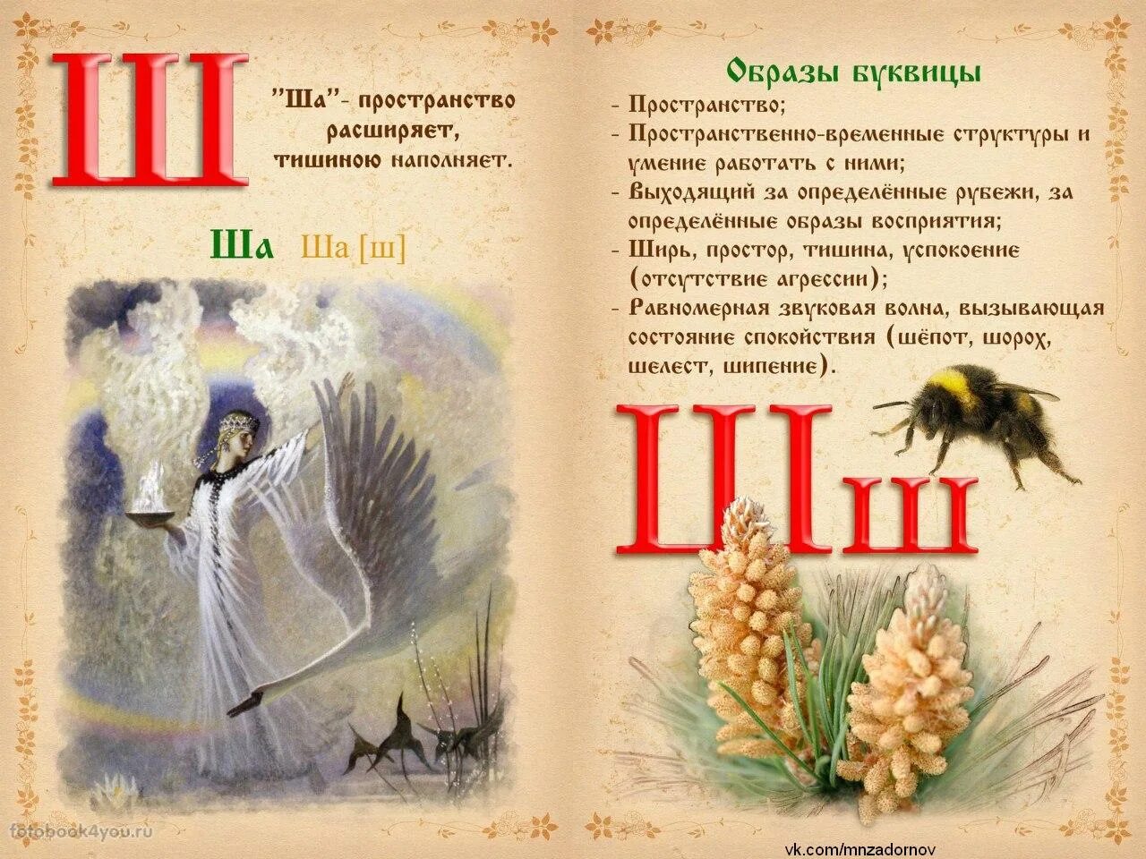 Буква шта в старославянском. Старославянская ш старославянская ш. Образы древлесловенской буквицы. Буквица шта старославянская. Старославянская буква ш.