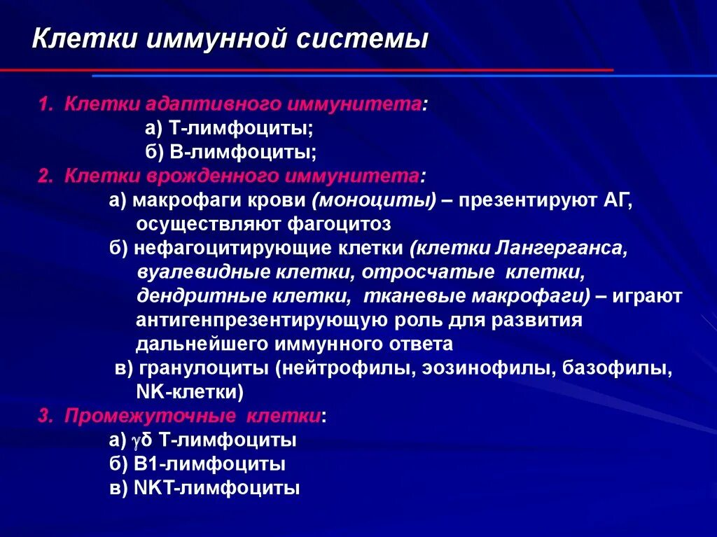 Иммунологические функции т и в лимфоцитов. Клетки иммунной системы. Классификация иммунных клеток. Главные клетки иммунной системы:. Характеристика в лимфоцитов