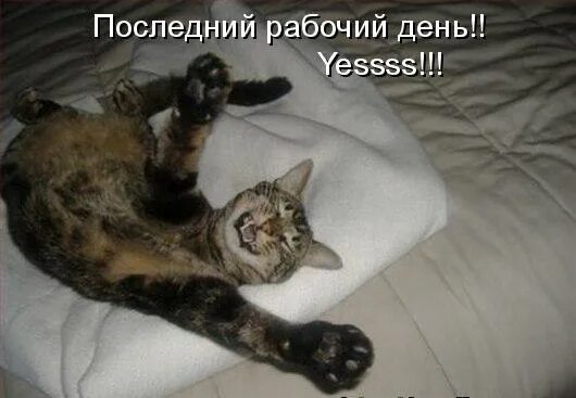 С последним рабочим днем уходящего года. Последний рабочий день. поздравление с последним рабочим днем. открытка с последним рабочим днем. последний рабосий день в том году.