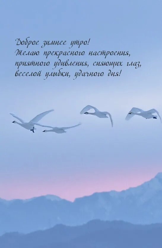 Пожелания мирного доброго утра небо над головой. Пожелания с добрым утром и мирного неба. Доброе утро мирного неба. Пожелания мирного неба. Доброе утро хорошего дня мирного неба.