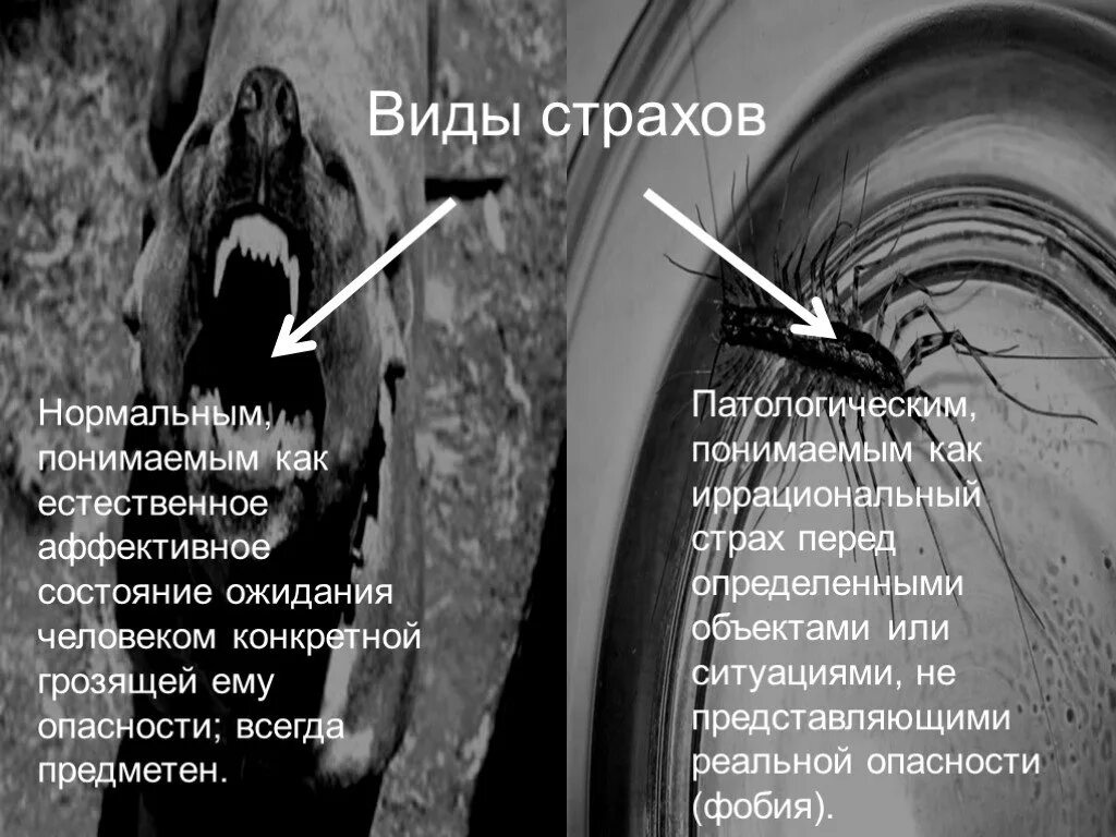 4 главных страха человека. Страхи список. Виды страха. Виды страз. Классификация видов страха.