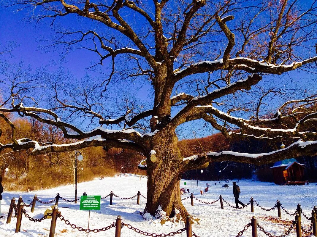 Last Snowfall by Legend147 ePHOTOzine