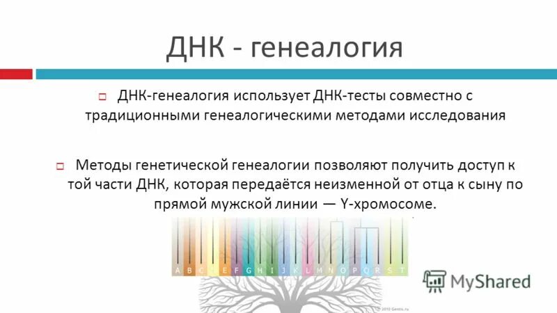 днк генеалогия славян книга. функция днк в митохондриях. генеалогический тест днк. генетическая генеалогия. сайт днк генеалогии.