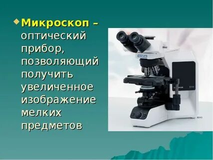 Для чего нужен микроскоп в биологии