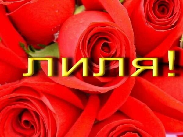 лилия. поздравления с днём рождения девушке. поздравляю с днём рождения лиличка. поздравления с днём рождения лилии. открытка имя лиля.