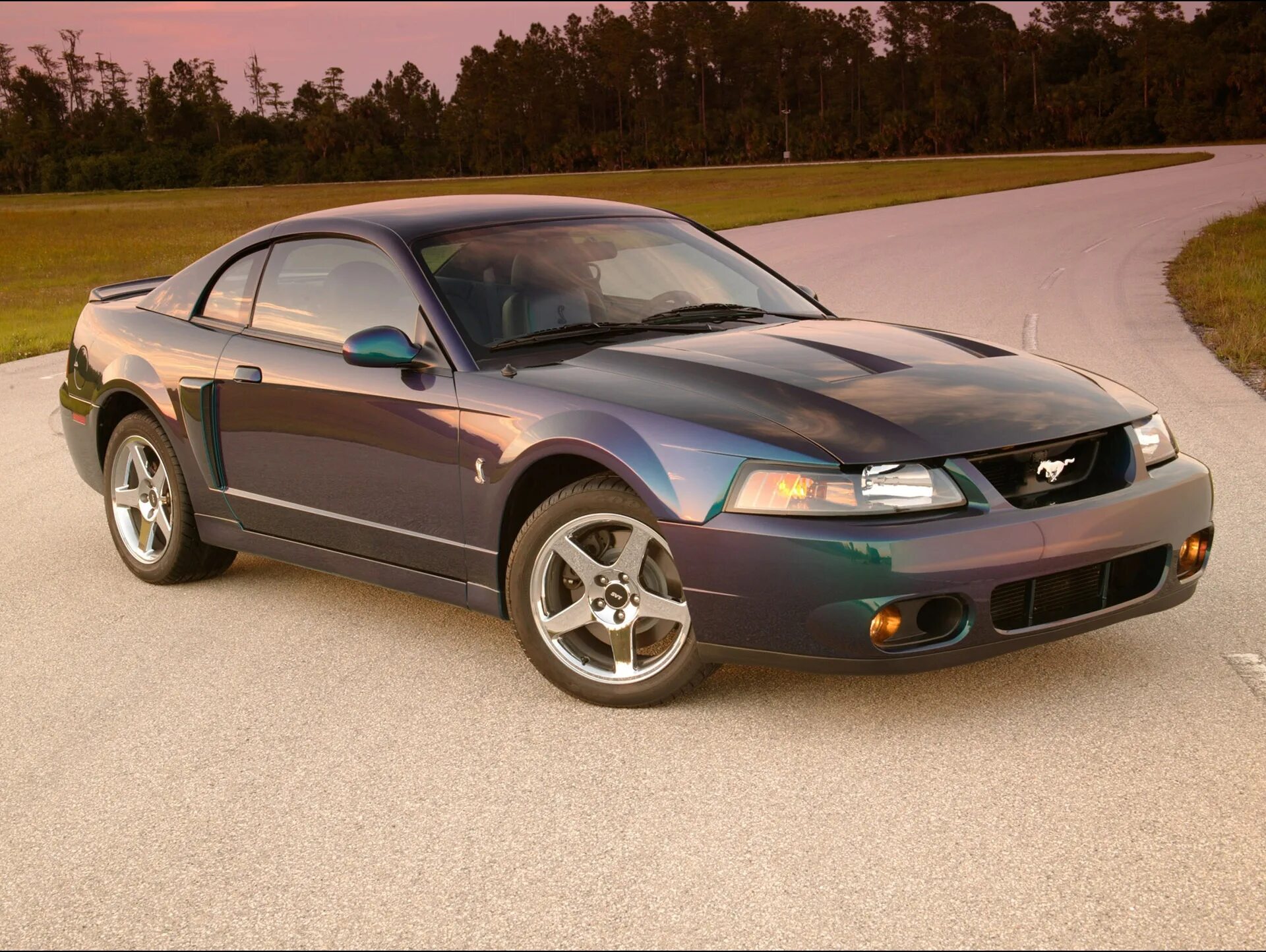 Мустанг кузова. Ford Mustang 2004. Форд Мустанг 2004. Ford Mustang SVT Cobra 2004. Ford Mustang Cobra 2004.