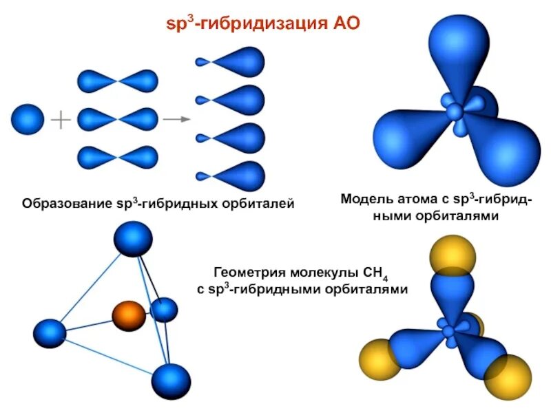 Пространственная конфигурация sp3-гибридизации:. Гибридные состояния атома углерода sp3 sp2 SP. Sp1 sp2 sp3 гибридизация на атоме углерода. Тип гибридизации атомов углерода sp2 sp3 SP sp3d.