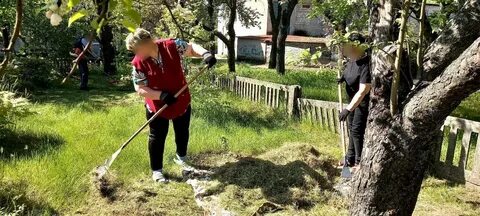 Территория скошена