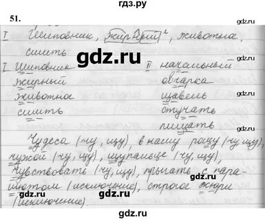 Русский язык упражнение 51