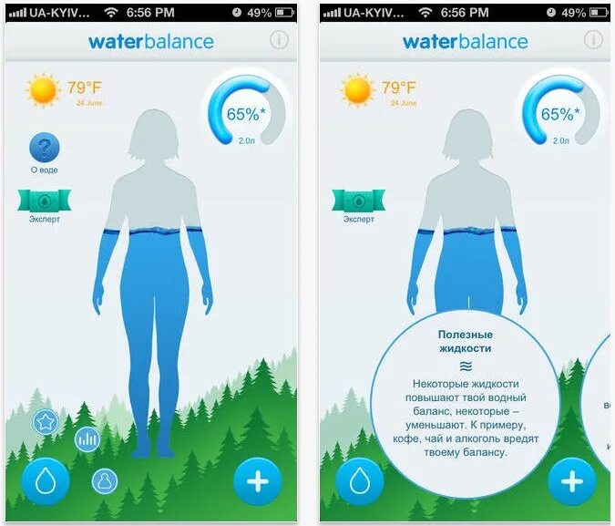 Вода приложение очищает. Водный баланс. Водный баланс в организме человека. Приложение Водный баланс. Памятка Водный баланс.