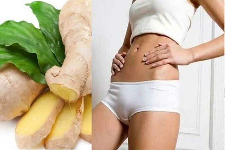 Чай для похудения. Можно ли имбирь при похудении. Имбирь эмблема. Имбирь применение. Можно ли имбирь при похудении.