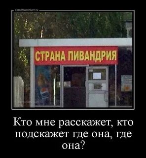 Подскажу где