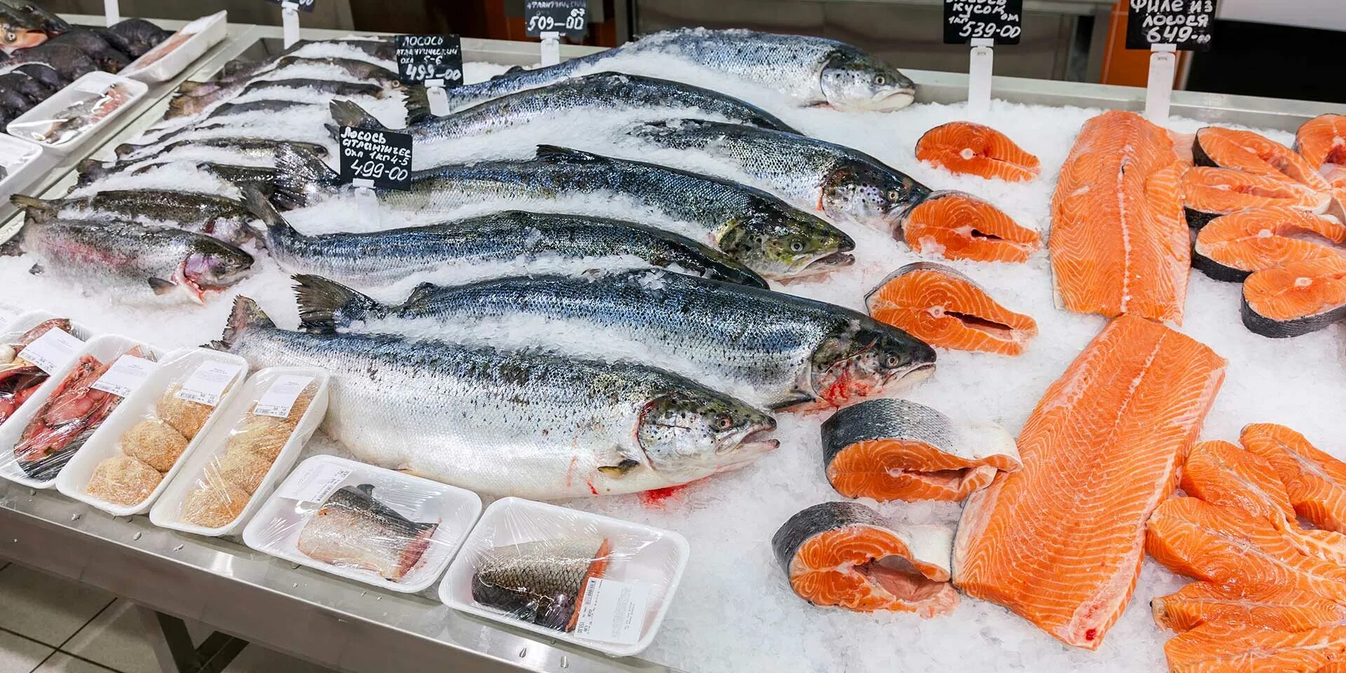 охлажденная рыба на прилавке. семга кусок. форель баренцев. как выбрать форель в магазине. рыба на прилавке.