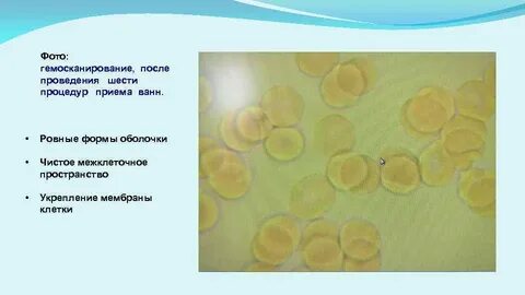 Ровные формы