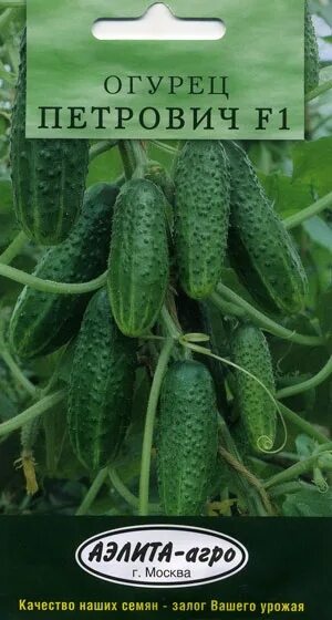 Огурец царская охота семена алтая. Огурец на пикули комарик f1 (штв) е/п б/ф. Огурец царская охота семена алтая. Огурец царская охота 6шт f1 семена алтая. Царская охота огурцы семена.