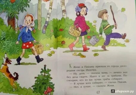 Катаев грибы картинки