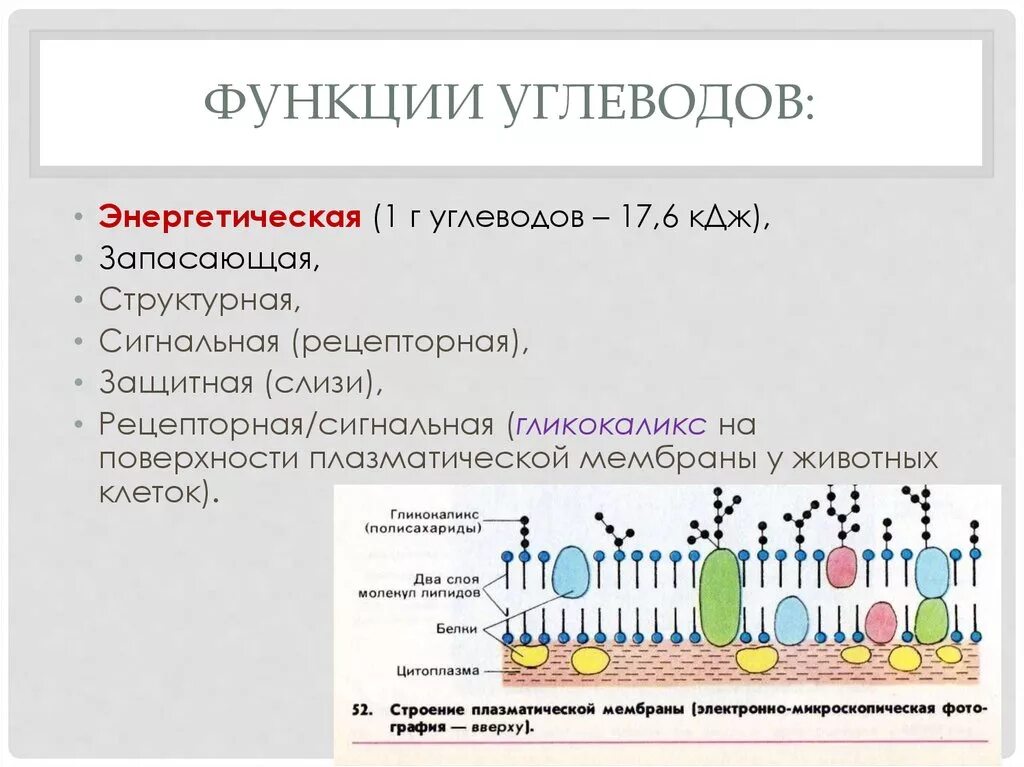 Углеводы мембран функции. Сигнальная функция углеводов. Функции углеводов в плазматической мембране. Сигнальная рецепторная функция углеводов. Функции углеводов биология сигнальная.