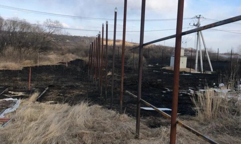 Владимировка амурская область. Владимировка донецкая область. жители амурской области. владимировка луганская область.
