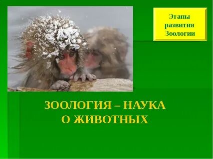 4 науки о животных
