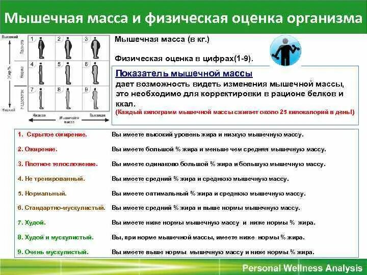 Примеры масс людей. Мышечная масса норма у подростков. Мышечная масса норма в кг. Масса жира и мышц в организме таблица. Содержание мышечной массы в организме норма.