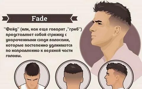 Head high перевод