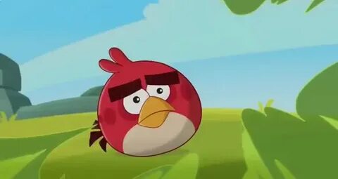 Angry birds toons episode 31
