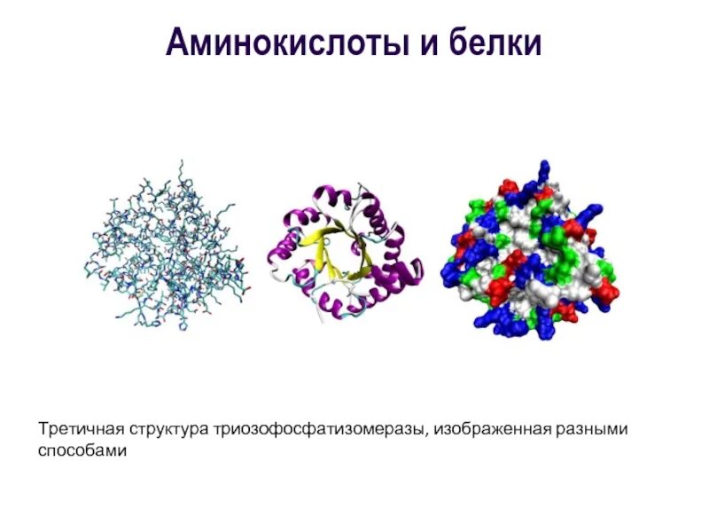 Молекула белка имеет. Строение белков. белок строение. строение белка. белки структура белков.