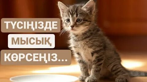 Екатерина лесбиянка