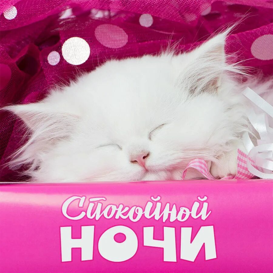 Смайлики доброй ночи. Сладкий спокойный. Спящие котята. Доброй ночи сладких снов. Стикер сладких снов.