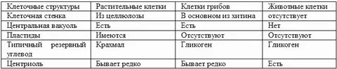 Сравнительная характеристика клетки таблица ответы