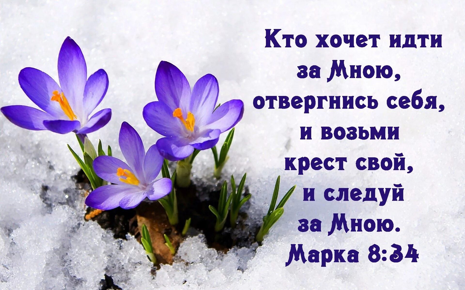 Благословенного весеннего утра
