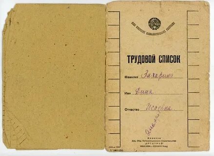 Жить по желтому билету