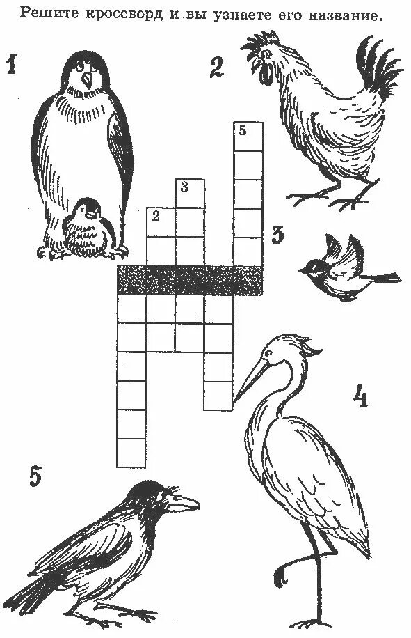 Задания про птиц. Кроссворд про птиц. Задания птицы для детей кроссворд. Кроссворд про птиц для детей. Кроссворды про птиц для детей 7-8 лет.