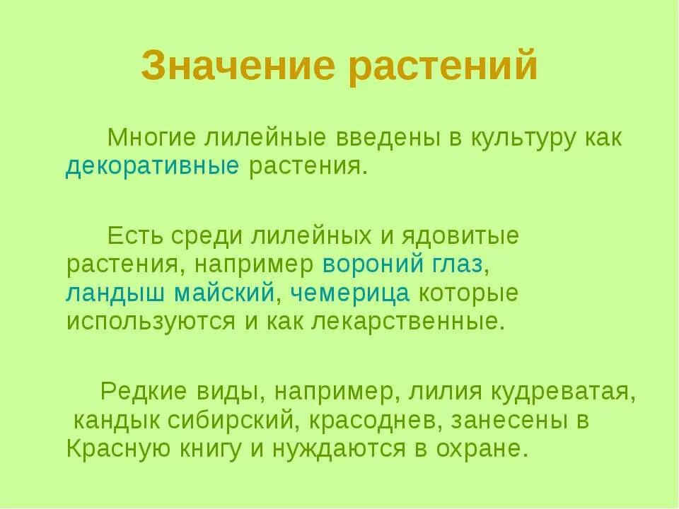 Каково значение растений лилейных в жизни человека. Значение лилейных растений. Значение лилейных. Семейство Лилейные значение. Лилейные в природе и жизни человека.