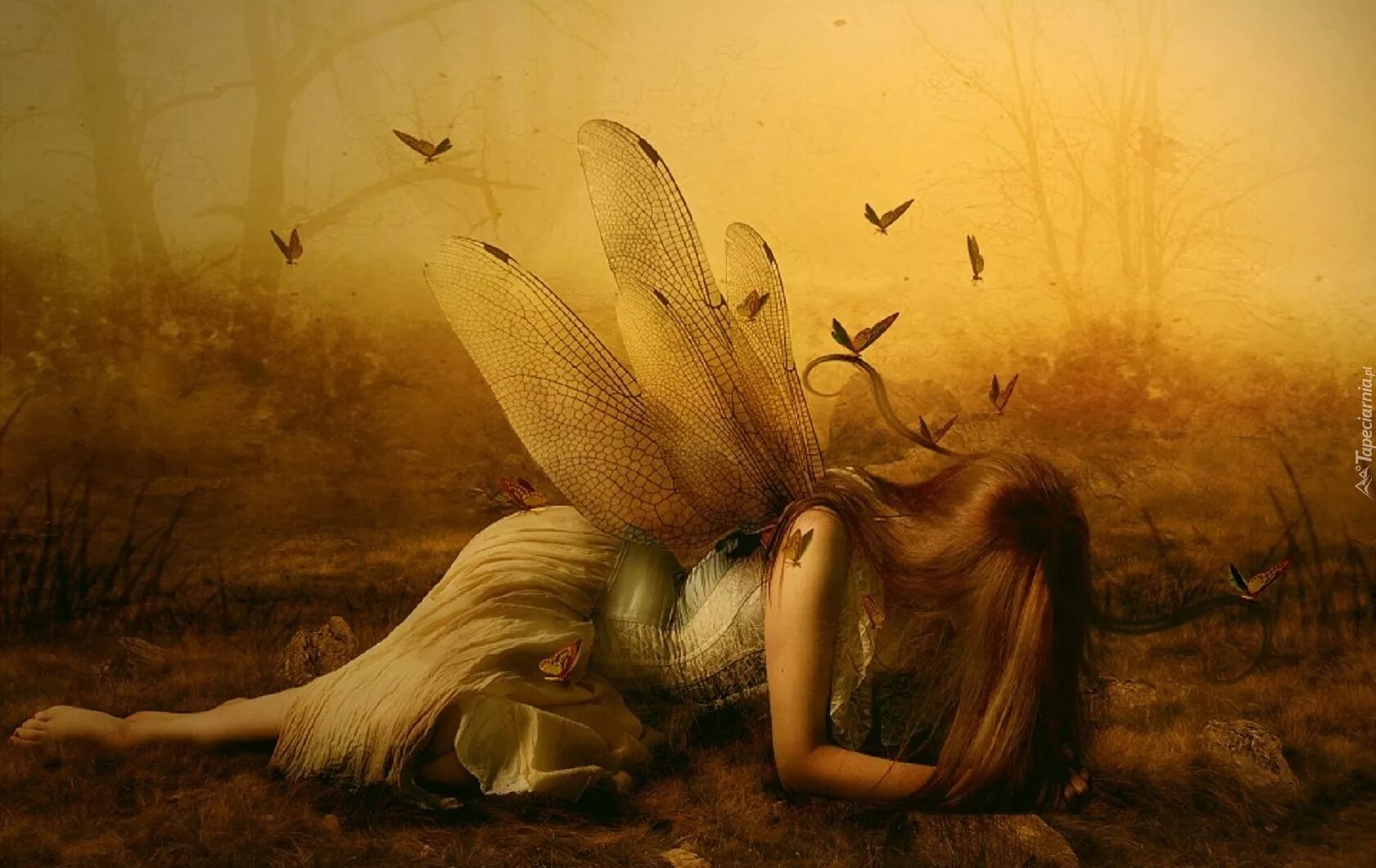 Девушка с крыльями бабочки. Умирающия фея. Темная фея фэнтези. Умирающия фея. Умирающия фея.