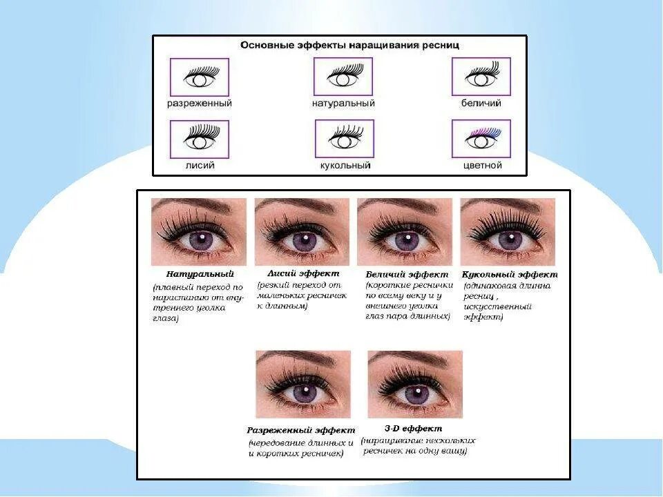 Беличий эффект наращивание схема наращивания. Наращивание ресниц Лисий эффект 2д схема. Схема наращивания ресниц Лисий эффект 2д изгиб с. Нарощенные ресницы Лисий эффект схема наращивания.
