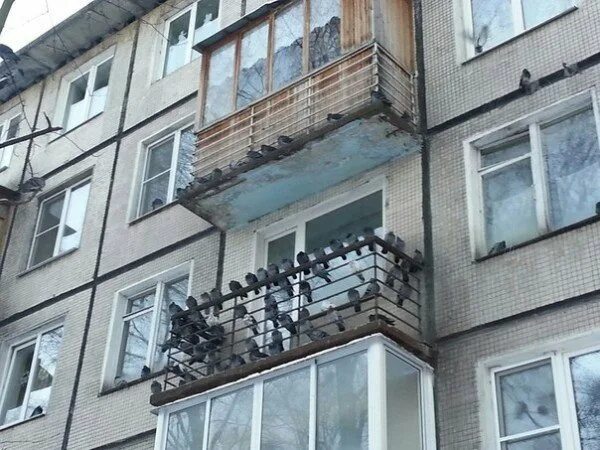 Чем отпугнуть голубей с балкона. Загаженные птицами балконы. от голубей на балконе. голубятня на балконе. защита балкона от голубей.
