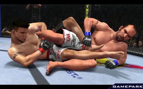 Ultimate fighting