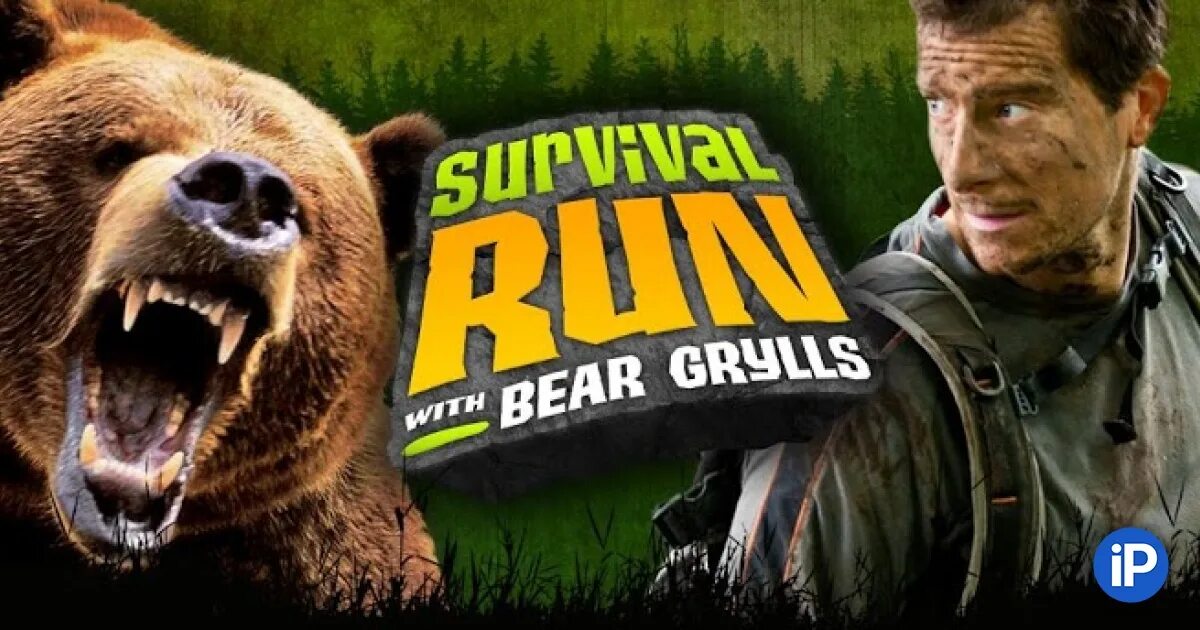 Run run bear. Bear grylls игра андроид. игра бег от медведя. игра на выживание про медведя. сбеги от медведей игра.