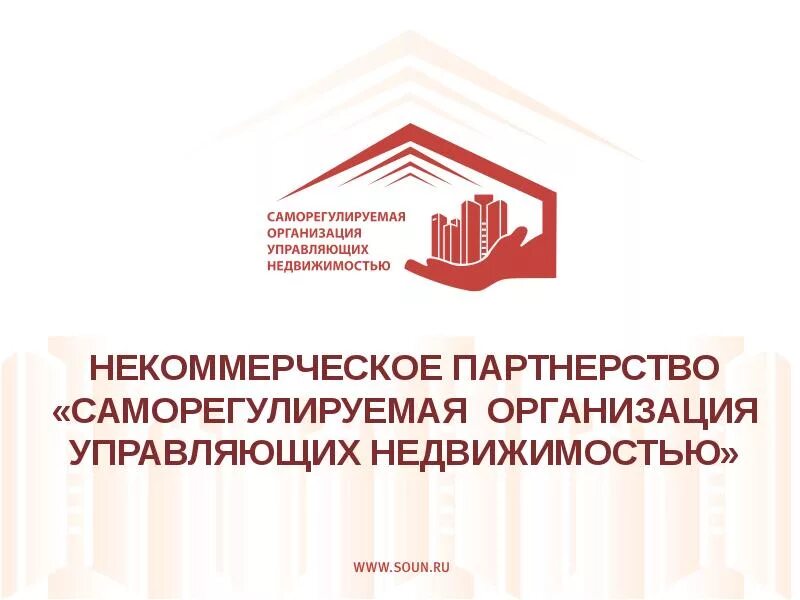 Некоммерческая организация управляющая компания