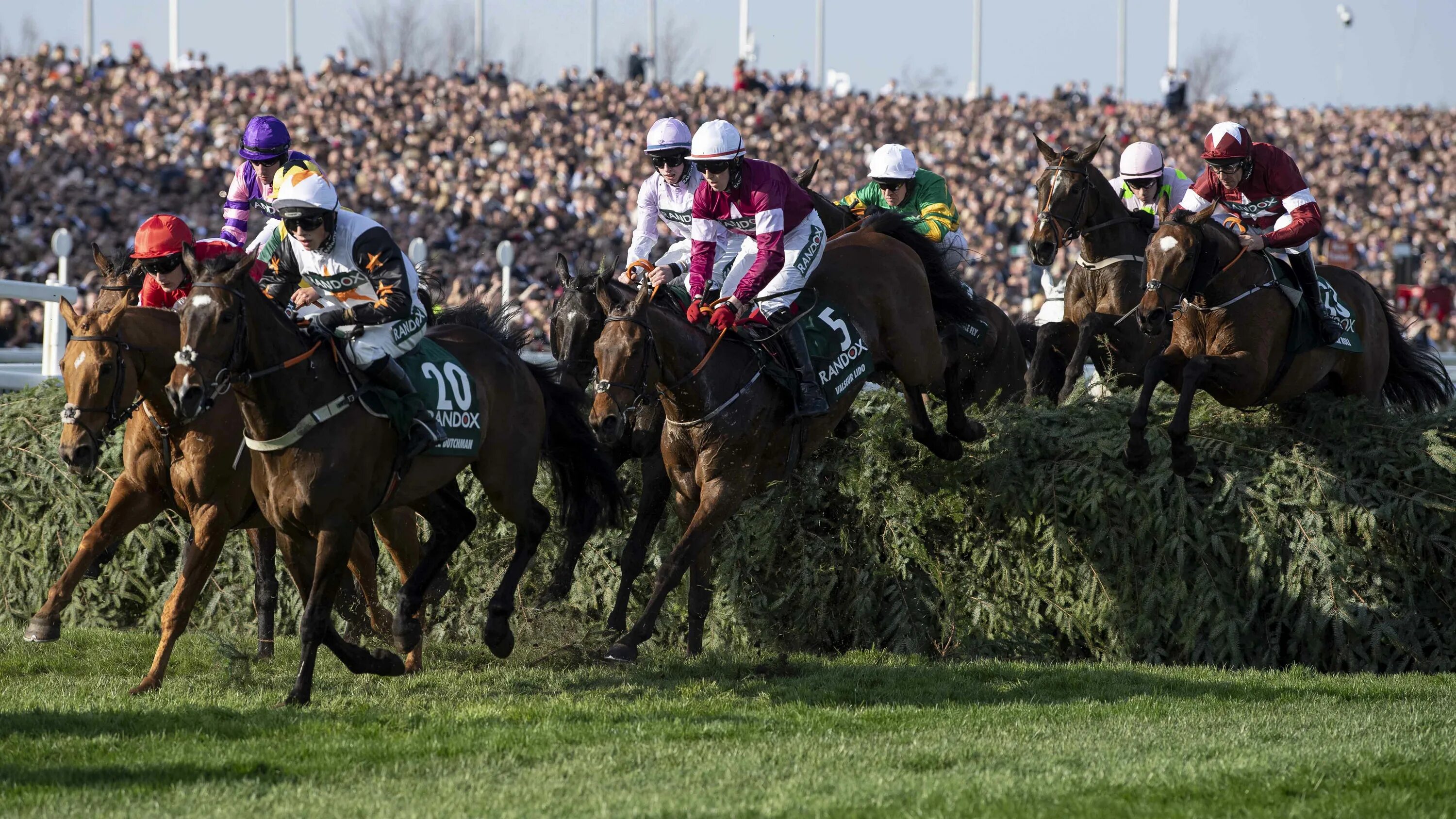 Скачки grand national. Horse racing national. Скачки grand national. Конные скачки. Гранд нейшнл (стипль-чез).