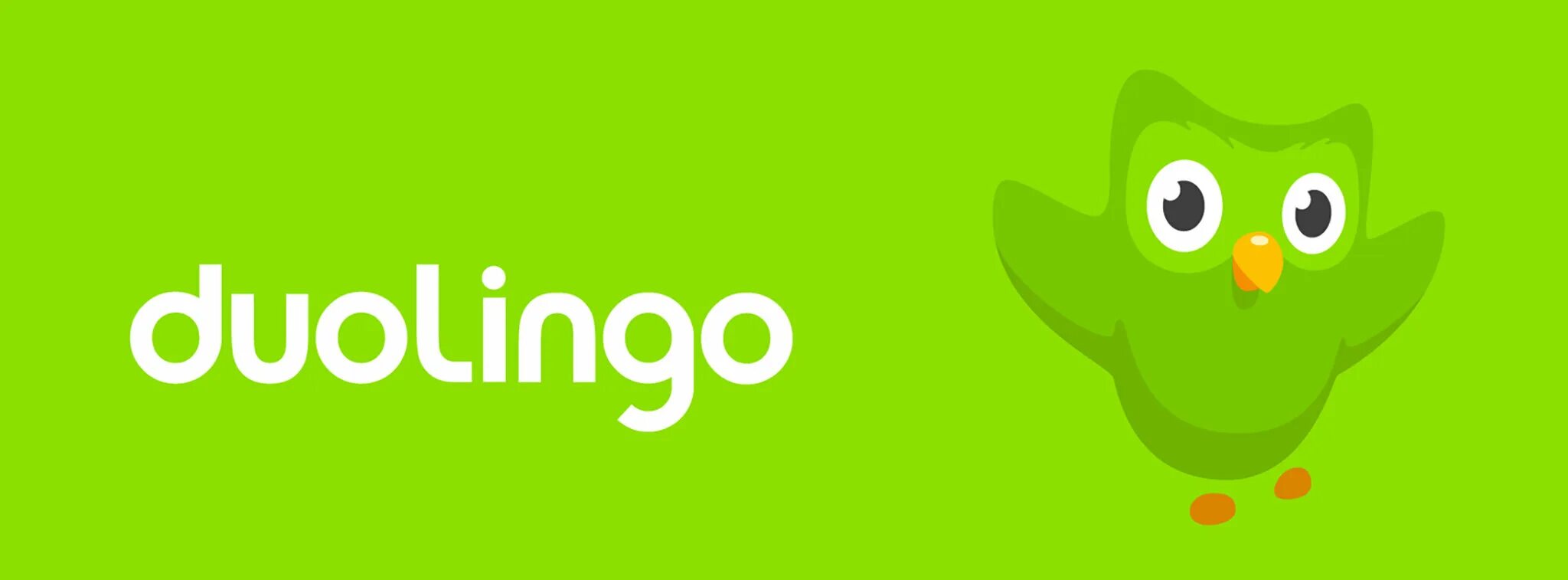 Аватарки дуолинго. Дуолинго. дуолинго логотип. дуолинго приложение. duolingo картинки.