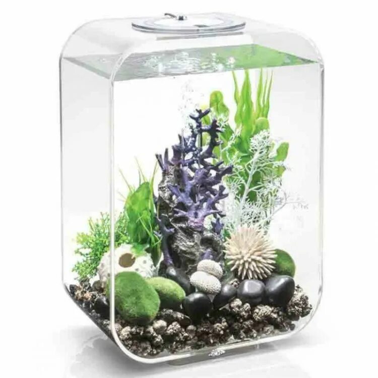 Аквариум 15 купить. Аквариум BIORB Life 15 MCR Clear, цвет прозрачный. Аквариум BIORB Life. BIORB Life 15 led Clear. BIORB аквариум 15л.