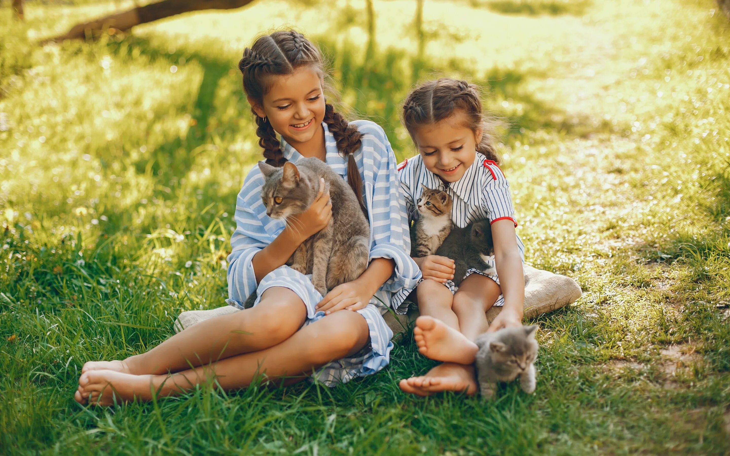 Девочка и два котенка. Девочка и два котенка. Девушка с рыжим котом. Аниме девочка кошка. Девушка с котом на руках.