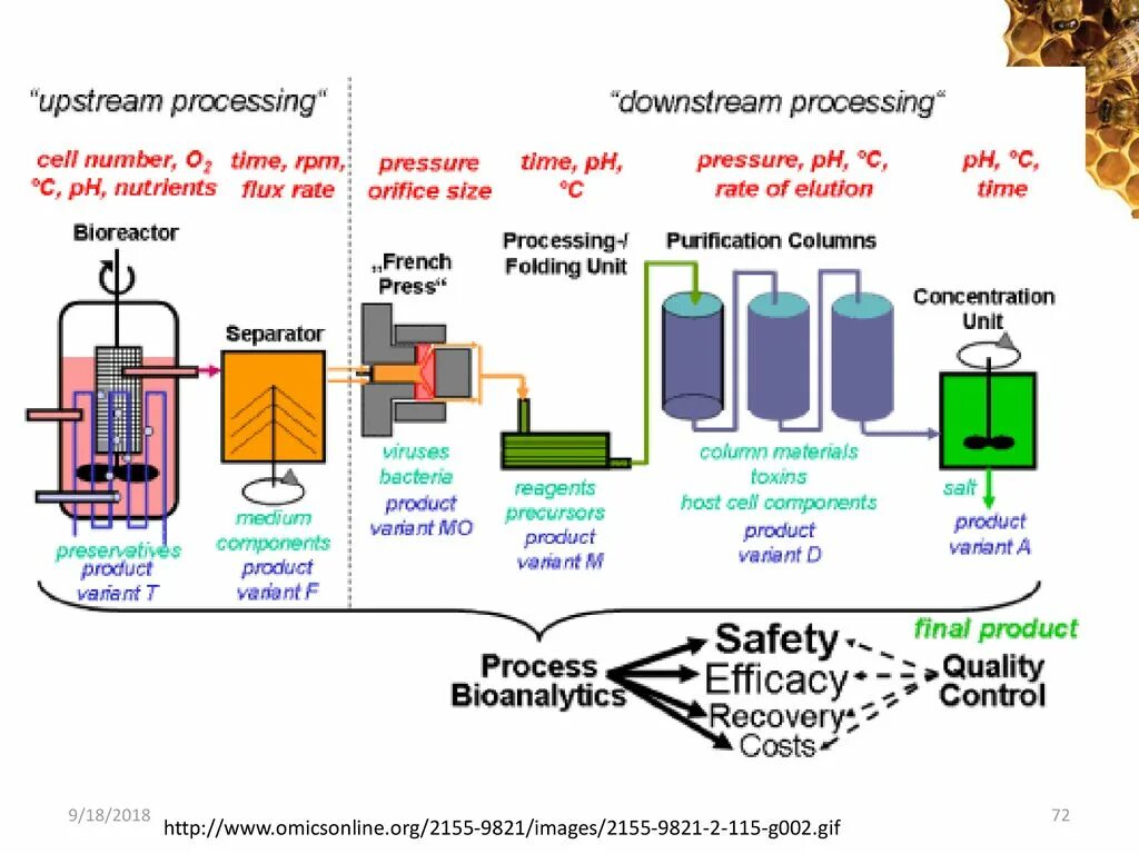 Upstream в биотехнологии. Upstream процесс в биотехнологии. Апстрим и Даунстрим в биотехнологии. Upstream Midstream downstream.